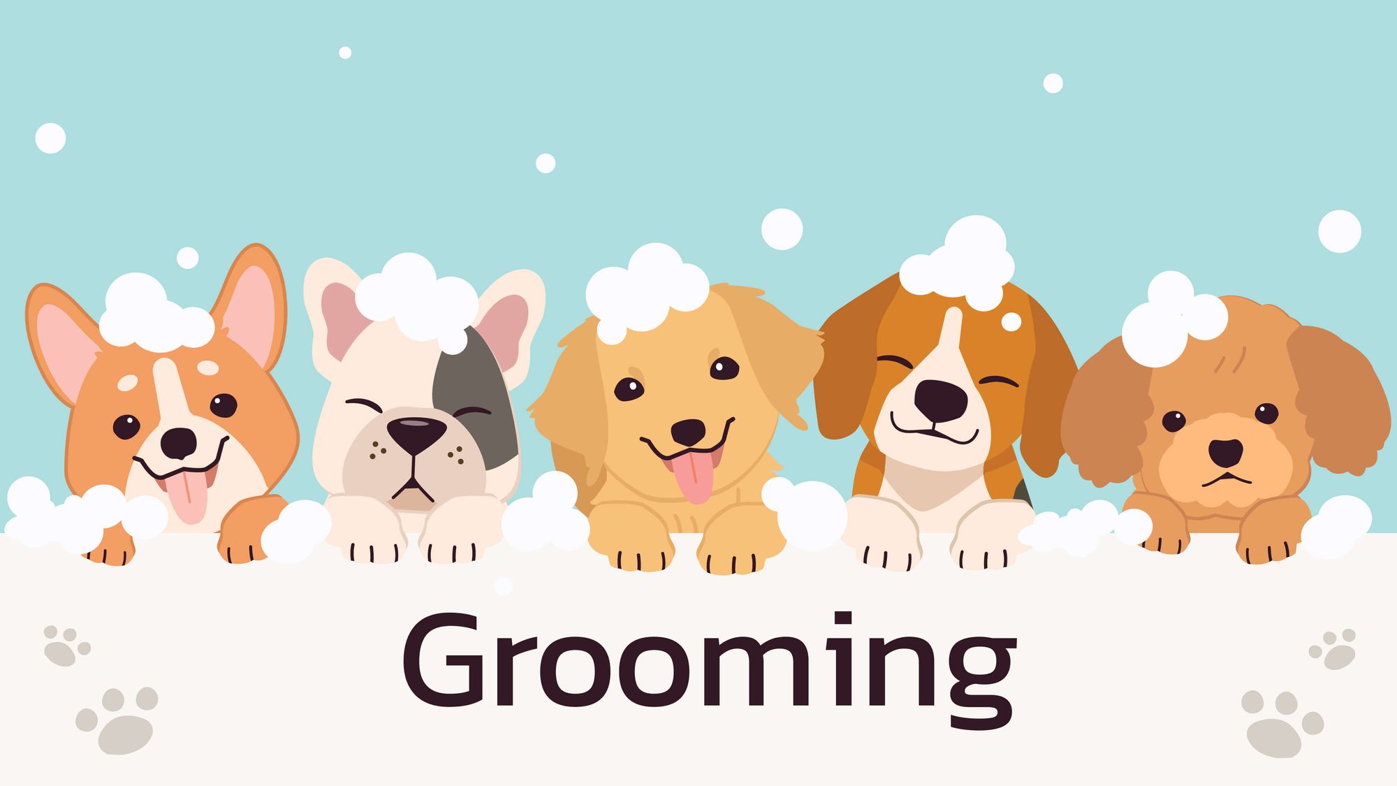 pet_grooming_app