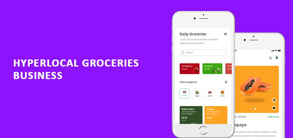 Guide to Why and How to Start an Online Grocery Store
